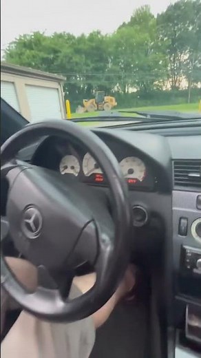 Tour a 1999 Mercedes Benz C230 Kompressor sport I got for $400 🤑 #mercedes #kompressor #fyp