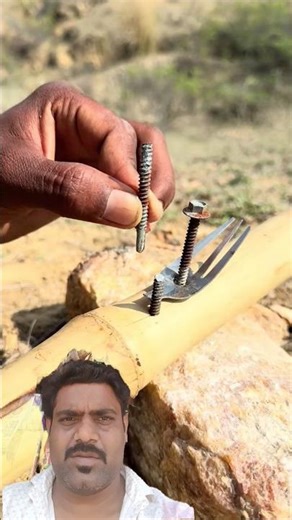 jungle survival skills for save life #jungle #savelife #experiment #survival #viral #shorts