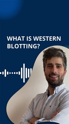 7.5K views | You may have heard of western blotting, but what is it and where is it used? In this video clip from our recent Teach Me in 10 episode, Dr. Amos Fumagalli explains what western blotting is. Watch the full video via the onscreen link or the link in the comments! | The Science Explorer | Facebook