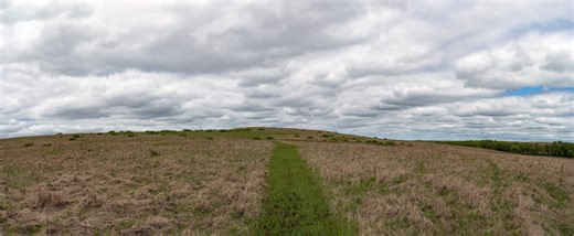 It’s a land of big skies. The Flint Hills Tallgrass Prairie Preserve is a pristine, 2,000-acre natural area owned by The Nature Conservancy. About six miles of trails loop through low-lying Flint Hills, about 30 miles south of Cottonwood Falls. Learn more at Kansas City Hiker: https://tinyurl.com/3vz2jx5t P.S. The small dots on the hillside are cows! | Kansas City Hiker