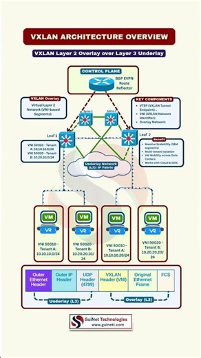 VXLAN Architecture Explained | Modern Data Center Networking