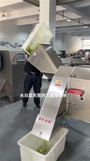 Cabbage chopper, fruit and vegetable dicer#Vegetable cutter