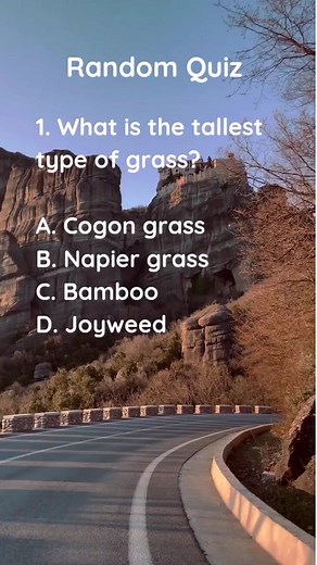 14K views · 497 reactions | Random Quiz Tequila’s history dates back to 250 to 300 A.D. #quiz代修 #reelsfb #reelsviral #quizinstagram #education #pubquiz #fyp #quiznight #knowledge #facts #quiz #QuizTime #Quizzes #trivia #trivianight #TriviaTime #TriviaTuesday #TriviaGame #factsdaily #factsonly #fact #factsoflife #quiz #random #tequila | Clever & Wise Quiz | Facebook