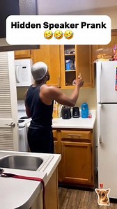 397K views · 9.1K reactions | Hidden speaker prank #funny #funnyvideo #scared #scarecam #scary #scareprank #prank | Mr Studio | Facebook