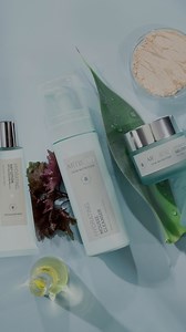 Your perfect science-backed skincare routine to bring out your best skin yet 💁‍♀️ From #ArtistrySkinNutrition Hydrating Mousse Cleanser to our Hydrating Day Lotion, we've got you covered when it comes to finding the perfect routine that shows results after just ONE use! Which Artistry product do you start your mornings with? 🤔👇 #Artistry | Artistry