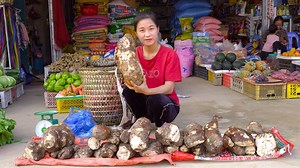 98K views · 2.8K reactions | Harvesting Wild Tubers Sold at the market - Daily Life | Flixgo Cookies | Facebook