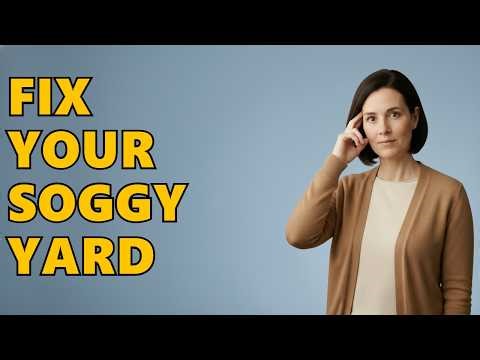 How To Make A Drainage Ditch With Rocks?