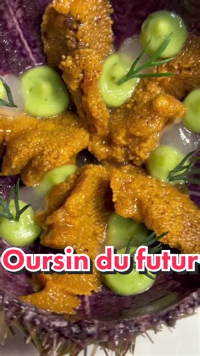 Recette d’oursin hyper simple à faire et bien bien stylée #cuisinetiktok #cuisinesimplepourtous #cuisinesimpleetrapide #cuisinefrancaise #recettefacile #recettesimple #oursin #avocat #gelcitron #alguedenori