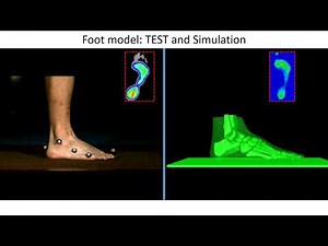 Subject-specific finite element modelling of the human foot during walking: Test vs Simulation