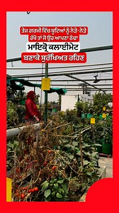 296K views · 4.4K reactions | Keep plants 華 together in extreme temperatures | GreenLife Diaries | Facebook