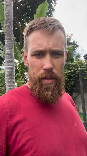 Neviens nav neko dzirdējis kā iet maniem banāniem. Dažs jau par tiem runā un raksta pagātnes formā, bet tie nekur nav pazuduši. Rudens klāt. Temperatūra nolaidusies tā, ap 20 un saaukstēšanās klāt. Tāpēc tāds saburzīts arī izlīdu dārzā, palūkot kas tur notiek, jo pēdējā mēneša laikā neko daudz nebiju darījis. Šodien atklāju divus ziedu pumpurus - būs vēl viens banānu ķekars. Un tā vien izskatās, ka arī pirmā papaija sāks ziedēt. Starp citu, ap Ziemassvētku, jaungada laiku šeit, Madeirā rīkošu pā