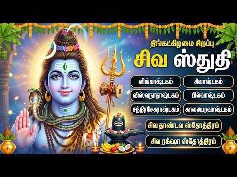 Monday Lord Shiva Devotional Songs Tamil | Hara Hara Mahadev 🙏 | Powerful Tamil Bhakti Paadalgal