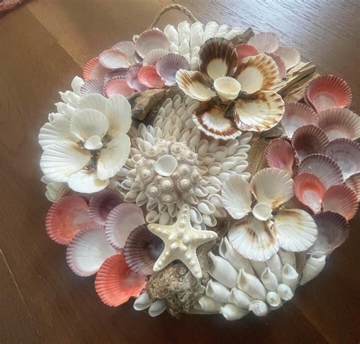 Seashell Wall Art – Coastal Zen Sculpture With Driftwood & Starfish - Etsy