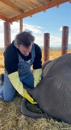 Chubba Bubba (@ty93nelson)’s videos with original sound - Chubba Bubba