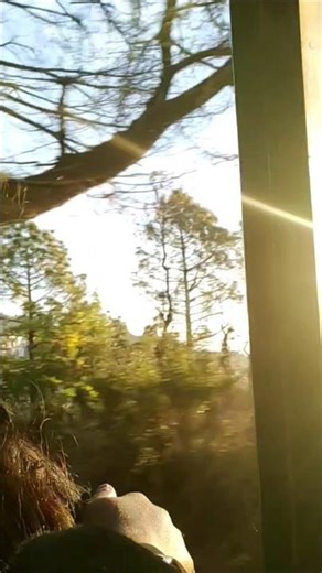 Main Chodh Aai Khud Ko..🌿🌼 #naturesvoice #nature #explore #video #hindisong