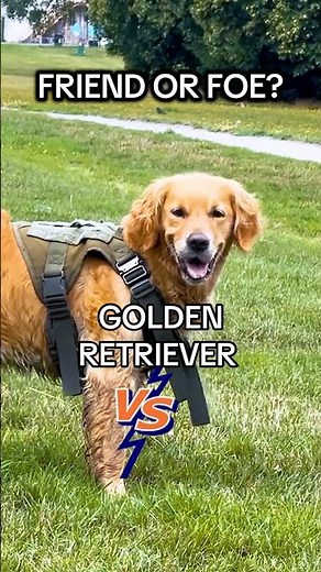 Only 15% guess this right… #dogshorts #guessinggame