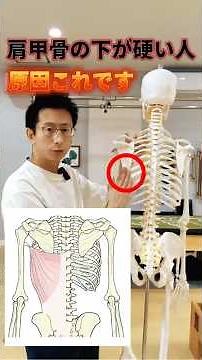 [If you have pain below your shoulder blade, this is the cause] #short #HamamatsuPilates #painbel...