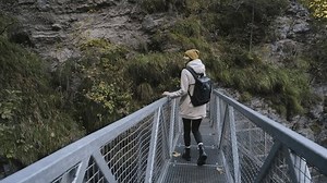 Beautiful Woman Traveler Walks Through Forest Stock Footage Video (100% Royalty-free) 3464519745 | Shutterstock