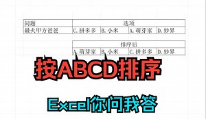《Excel摸完我答》ABCD排序,选择题排序,按字符排序,格式化文本顺序_哔哩哔哩_bilibili