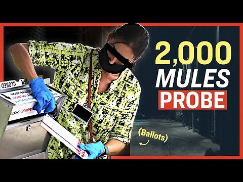 2000 Mules Sparks County Sheriff to Initiate 2020 Fraud Investigation: 16 Cases Already Open