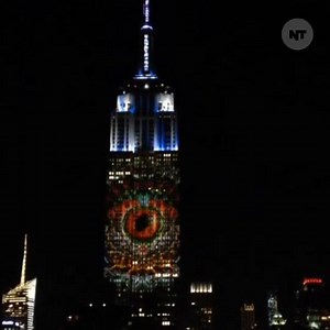 269K views · 5.2K reactions | Faces of endangered species lit up the Empire State Building to make everyone pay attention. | NowThis | Facebook