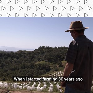 3 comments | As climate change threatens the globe, coffee beans...