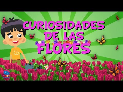 CURIOSIDADES DE LAS FLORES | Vídeos Educativos para Niños