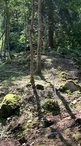 49K views · 720 reactions | Jolanda Neff in allenamento.  Credit video : Jolanda Neff | Cicloturismo | Facebook