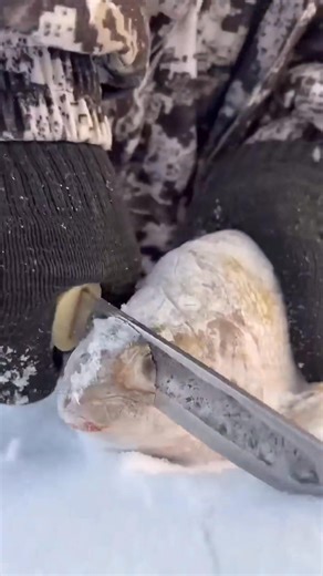 Snow Bath | GYAN FLIX