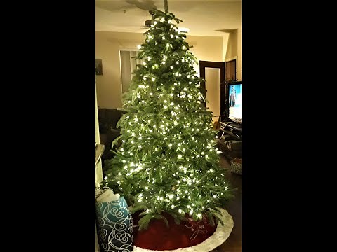 BALSAM HILL - Our review on the Nordmann Fir