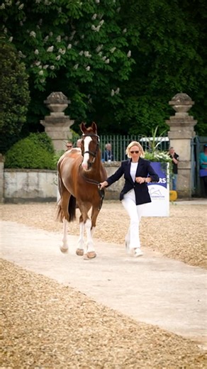 Just one week until we do this… #marsbadmintonhorsetrials2025 #badmintonhorsetrials2025 | Badminton Horse Trials
