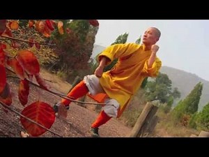 少林传统拳 - Shaolin Traditional Boxing