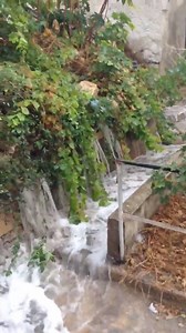 14K views · 201 reactions | LIVE from Marsascala! When steps turn into waterfalls! What's the weather like where you are? Send us your photos and video footage here.  Tony Brown | Malta Weather | Facebook