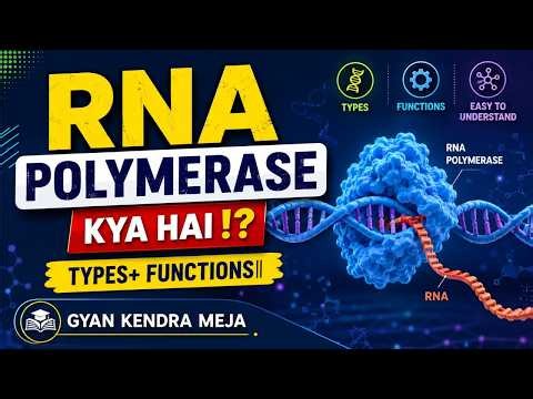 RNA Polymerase kya hai!? | Types+ functions