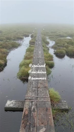 Jeanne Heather (@jeanneheather)’s videos with Memories (Drinks Bring Back) - Ajay Stephens