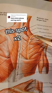 62K views · 1.1K reactions |  inner shoulder blade. Two more ways...