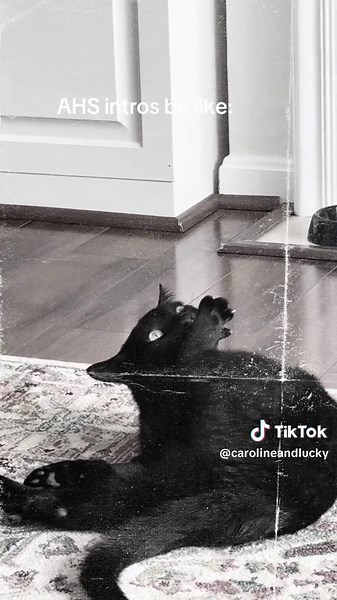 AHS Intros: Anticipation for the New Season