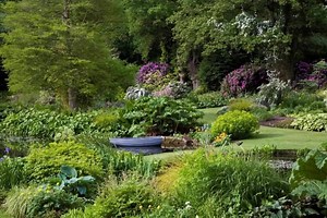 Monty Don called her: "The world's greatest living gardener." Come to the first ever plant festival held at the Beth Chatto's gardens, in Essex. FREE admission throughout the weekend. FREE talks on gardening, plants and behind the scenes tours. For anyone who loves gardening, gardens and plants. | Beth Chatto's Plants & Gardens