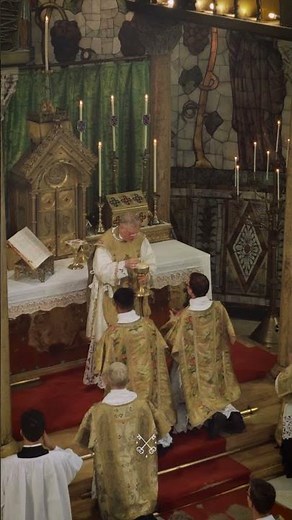 Behold the Lamb of God, who takes away the sins of the world.