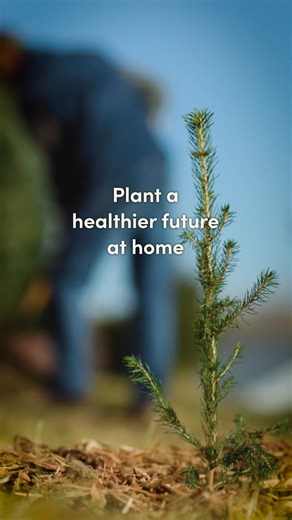 253 reactions · 232 shares | Share your thoughts on trees, make a donation, and we'll send you 10 free trees at the right time to plant. | Arbor Day Foundation | Facebook