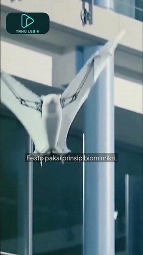 Festo Bionic Flying Fox.