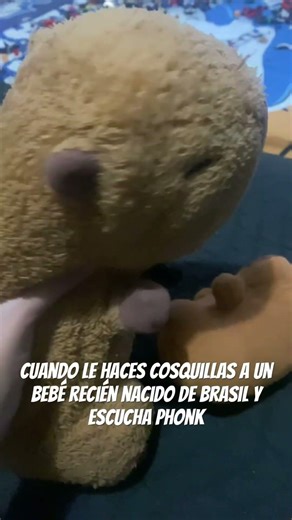 Fiesta fiesta buena rola bebé