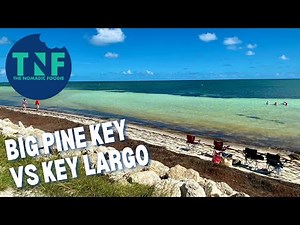 Which Is Best For Snorkeling From Shore? Key Largo Or Big Pine Key?