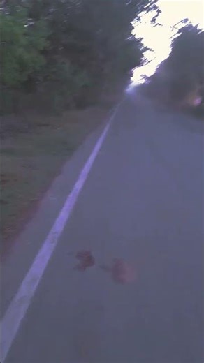 #love #lovestory #music