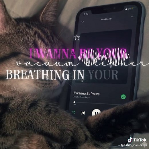 I Wanna Be Yours letra completa y traducción