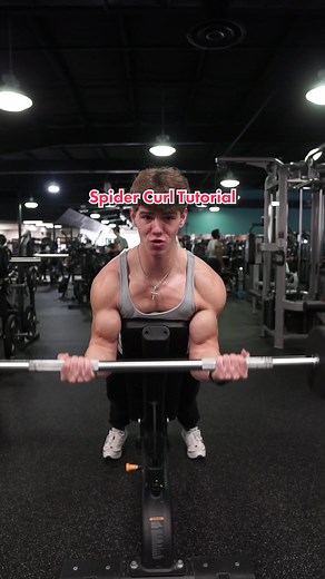Spider Curl Tutorial #gym #biceps #bicepsworkout #bicep #bicepworkout #spidercurl