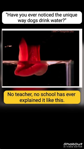 Part-814 | 100% IQ level use | science experiment #youtubeshorts #education