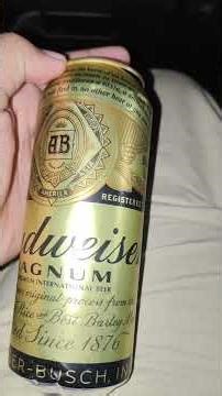 Beer lover 🍻🍺#beer #beerlover #beerreview