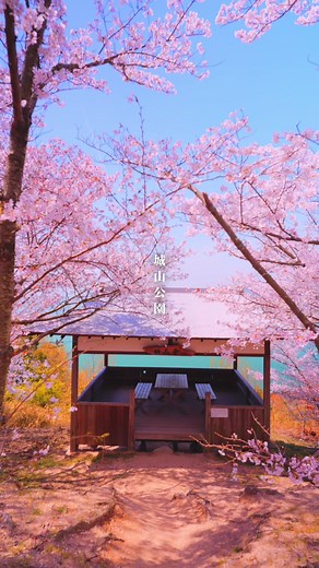 素敵すぎる春の小豆島 香川県の瀬戸内海に浮かぶ小豆島。この度小豆島町の春の観光スポットを巡らせていただき、PR動画を製作させて頂きました。この活動を続けていく上で地域貢献をひとつの目標としていたので、今回このような機会を頂き嬉しく思います。少しでも地域活性化に繋がればと思います。 春の小豆島は島の至る所に桜が咲き乱れます。香川県内の桜の名所はシーズンになると非常に混み合いますが、島に渡れば美しい瀬戸内海をバックに満開の桜をゆっくりと眺めることが出来ます。また、寒霞渓は紅葉が有名ですが新緑の景色も非常に美しく一見の価値ありです。来年の春は小豆島へ足を運んでみてはいかがでしょうか。 YouTubeにも動画を投稿していますので、よかったらチャンネル登録して頂けると嬉しいです！ Shodoshima Island in Spring Shodoshima Island is located in the Seto Inland Sea in Kagawa Prefecture. We were invited to tour the spring tourist spots in the to