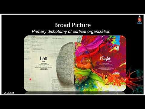 Higher Mental Functions